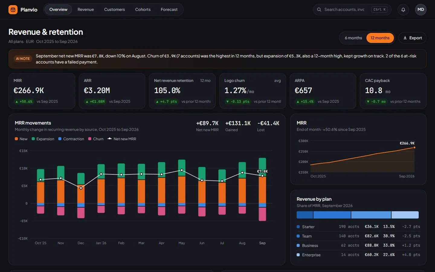 Revenue & retention dashboard for Planvio, concept with sample data